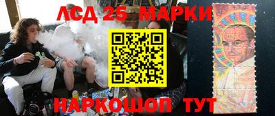 прущие грибы Будённовск