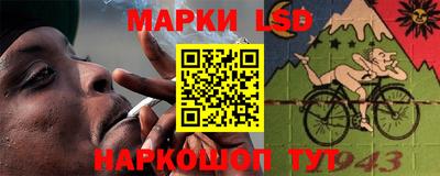 прущие грибы Будённовск