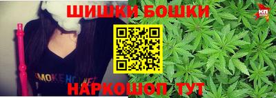 прущие грибы Будённовск
