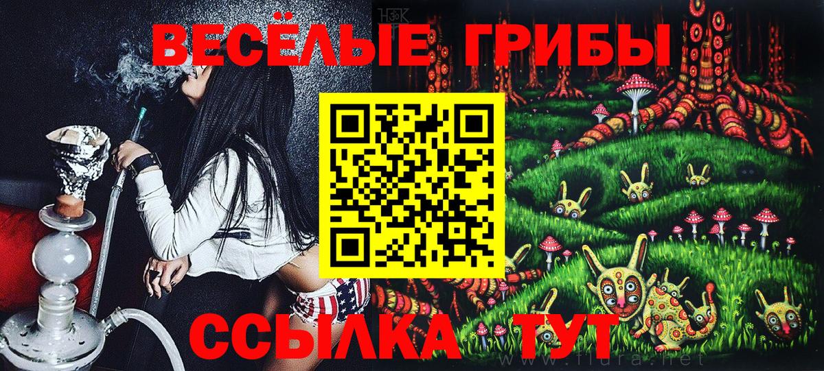 Фролово  Галлюциногенные грибы мухоморы  Вход с VPN  даркнет сайт  Псилоцибиновые грибы мицелий 